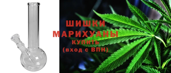 сатива Карпинск
