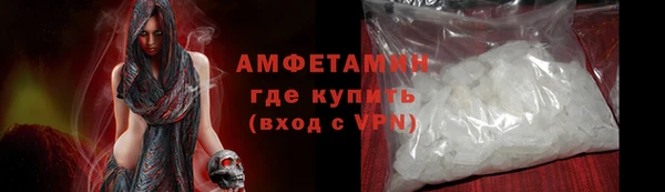 сатива Карпинск