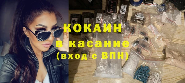 сатива Карпинск