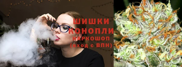 сатива Карпинск