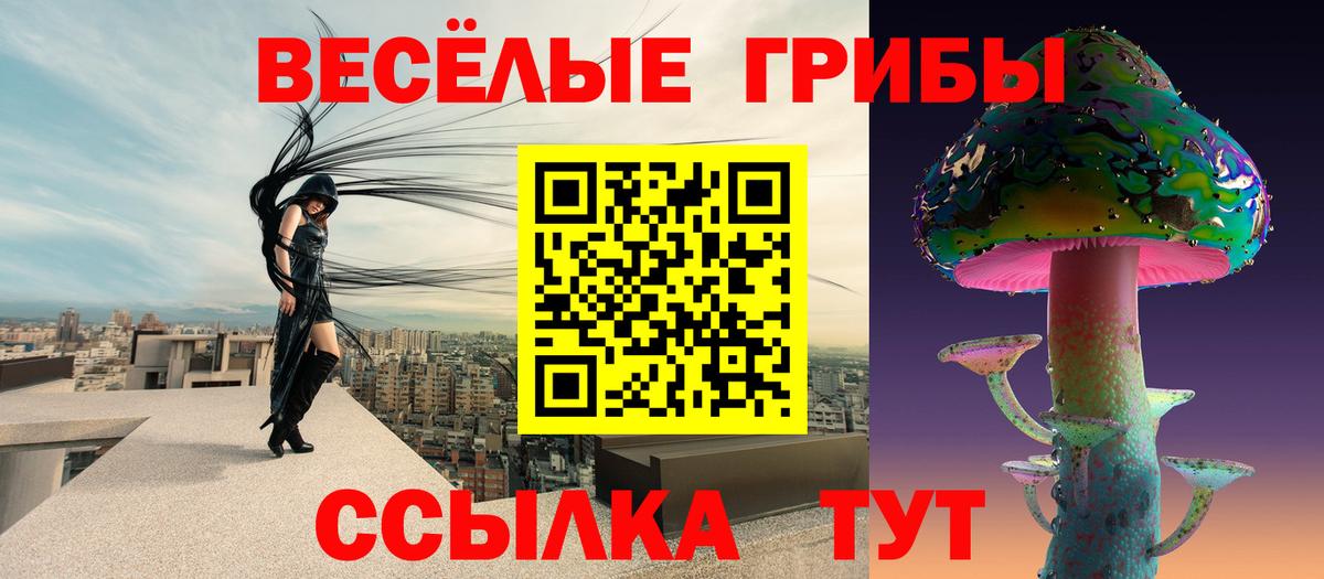 Кашира  дарнет шоп  Вход с VPN  Псилоцибиновые грибы прущие грибы  Псилоцибиновые грибы Psilocybe 