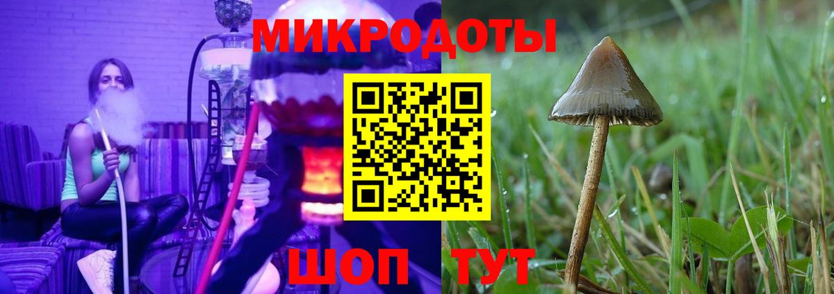 Галлюциногенные грибы Psilocybe Кашира